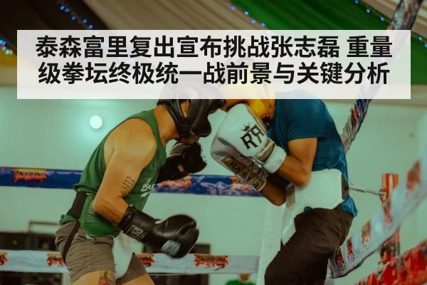 Zhang Zhilei boxing