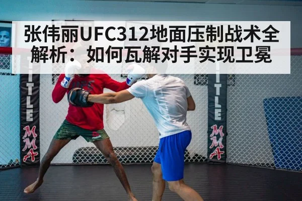 张伟丽UFC312地面压制战术全解析:如何瓦解对手实现卫冕